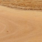 Pre-finished Timber Flooring