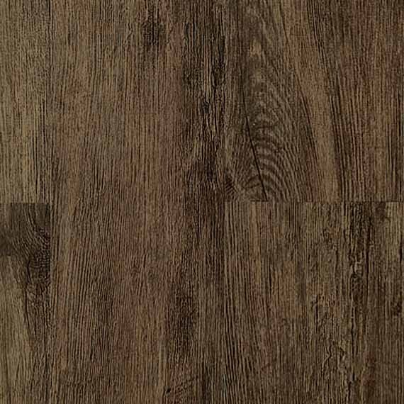 ORNATO LATINA 1 ORNATO LATINA