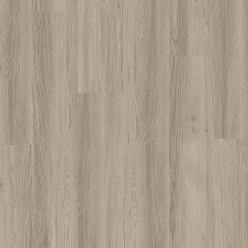 TITAN GLUE SILVER GREY ASH