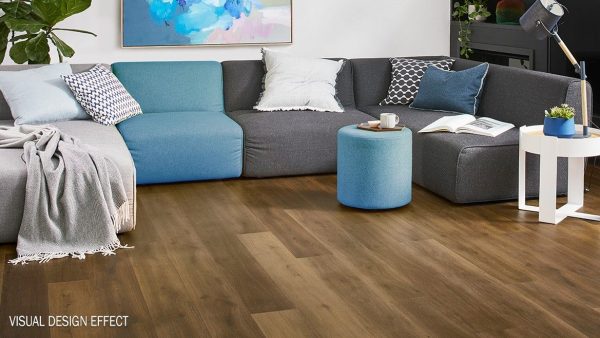 APOLLO XL - 170 DELAWARE APOLLO XL - 170 DELAWARE