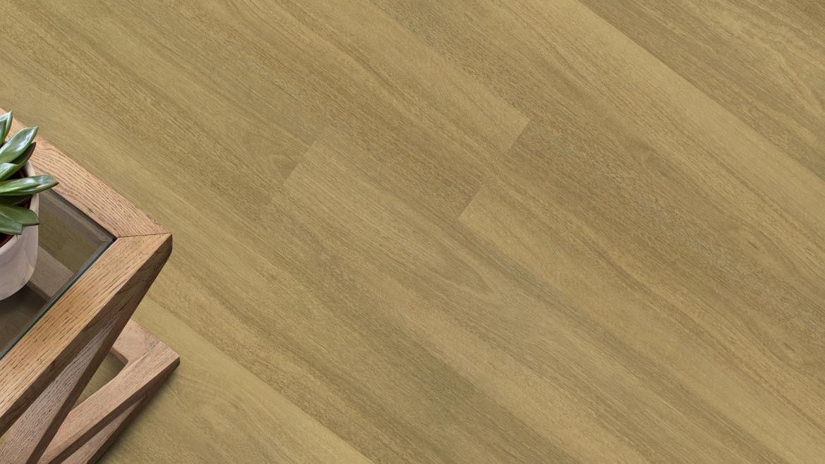 APOLLO XL - 525 ALPINE GUM