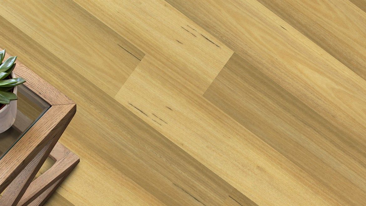 APOLLO XL - 545 BLACKBUTT APOLLO XL - 545 BLACKBUTT