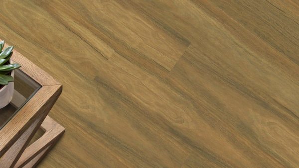 APOLLO XL - 555 SPOTTED GUM APOLLO XL - 555 SPOTTED GUM