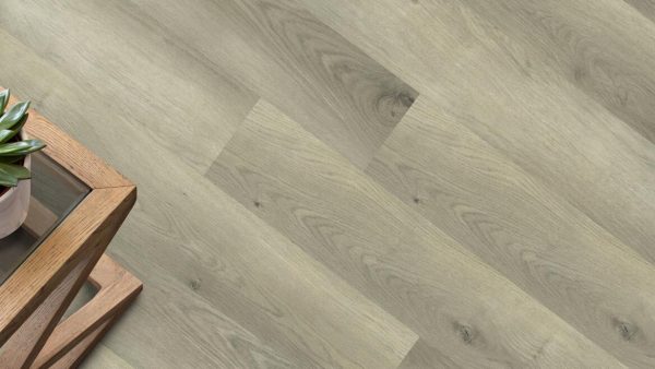 APOLLO-XL-730-BOSTON