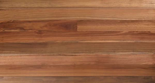 Australian Spotted Gum (2) Australian Spotted Gum (2)