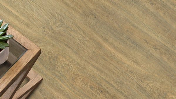 BELLE ENDLESS - 350 WILD OAK