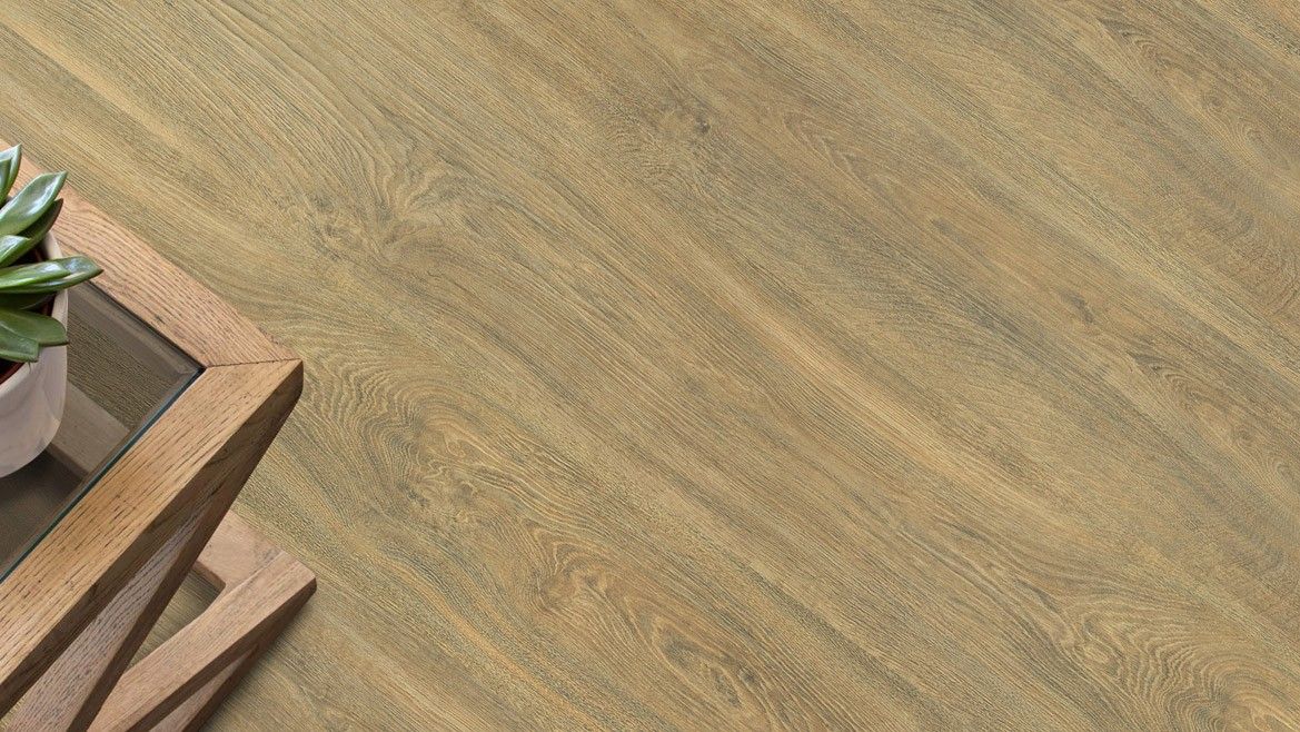 BELLE ENDLESS - 350 WILD OAK