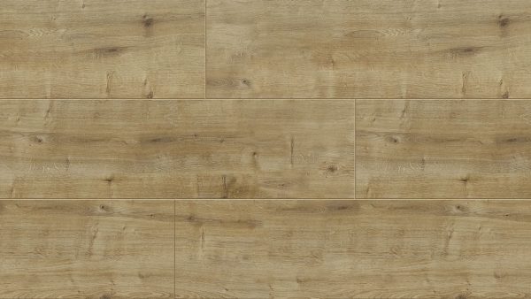 BELLE XL - 350 TAYLOR OAK