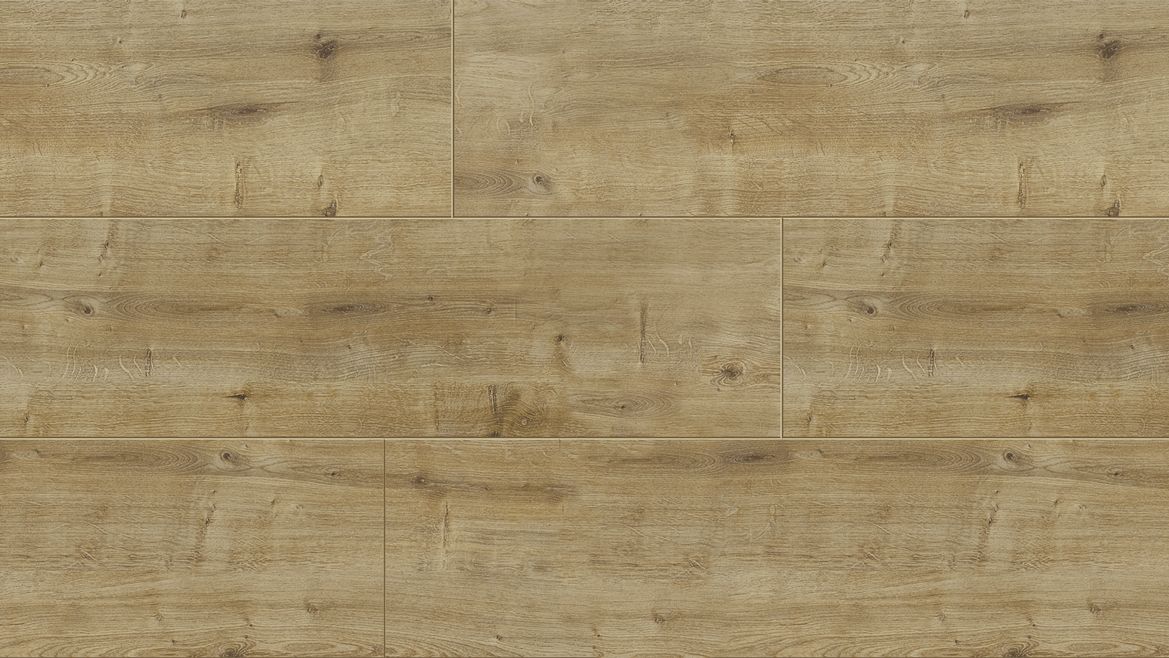 BELLE XL - 350 TAYLOR OAK