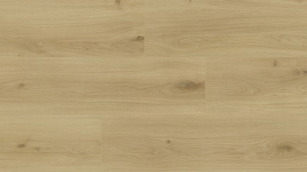 BELLE XL - 550 DESERT OAK BELLE XL - 550 DESERT OAK