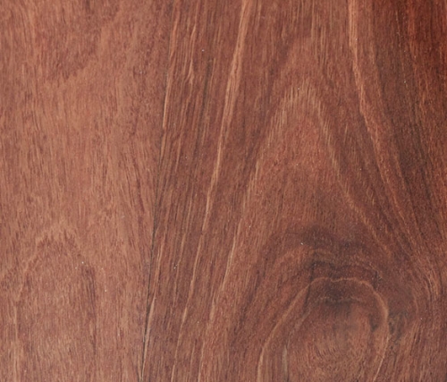 Jarrah-500x427 Jarrah