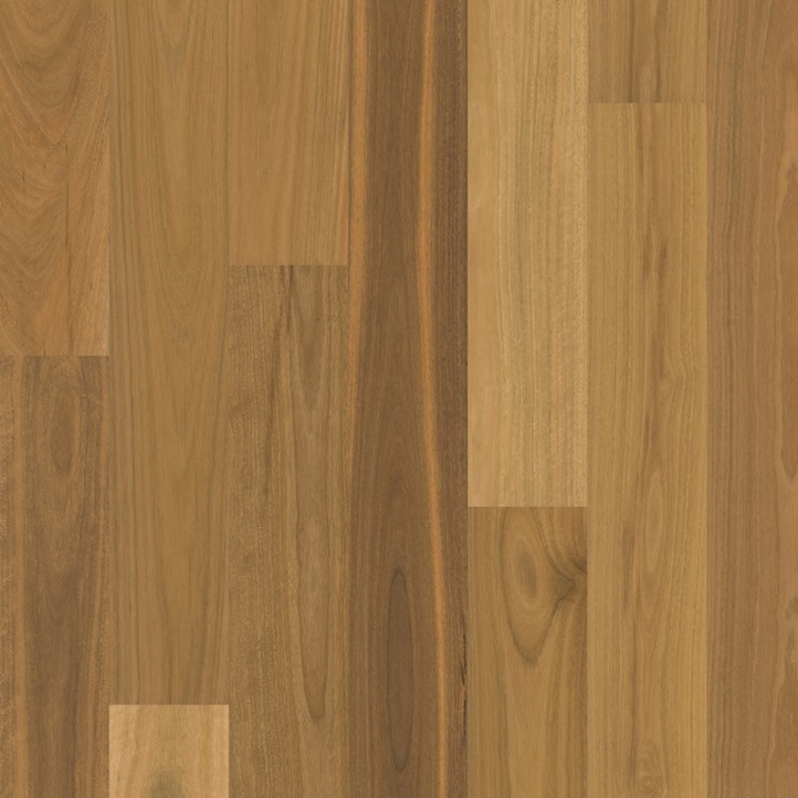 Matt brushed Spotted Gum 1 strip Matt brushed Spotted Gum 1 strip