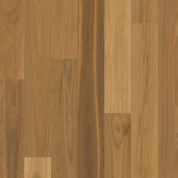Matt brushed Spotted Gum 1 strip Matt brushed Spotted Gum 1 strip