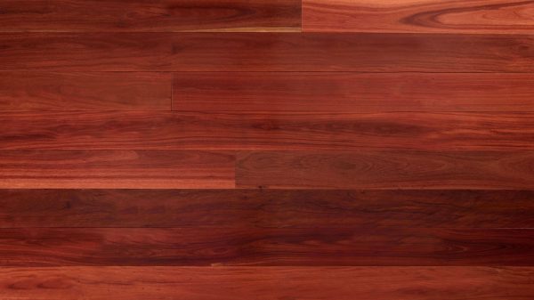 Red Iron Bark (1) Red Iron Bark (1)