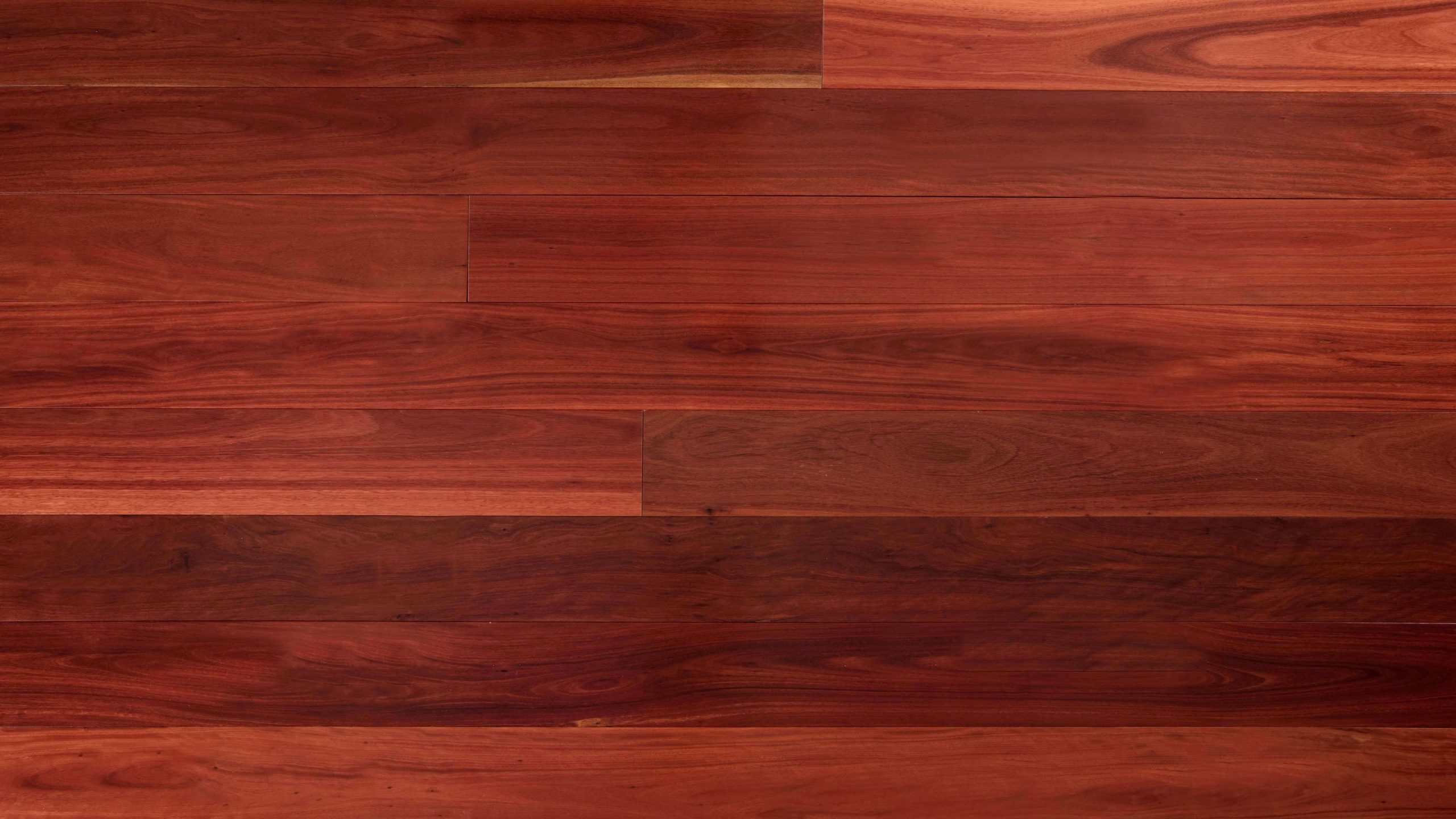 Red Iron Bark (1) Red Iron Bark (1)