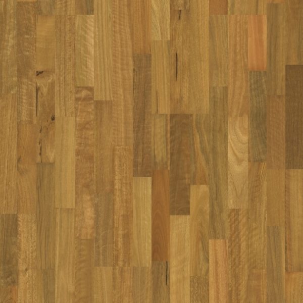 Spotted Gum 3 strip Spotted Gum 3 strip