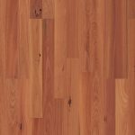 Sydney Blue Gum 2 strip