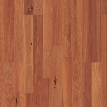 Sydney Blue Gum 2 strip