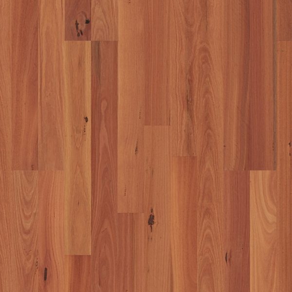 Sydney Blue Gum 2 strip