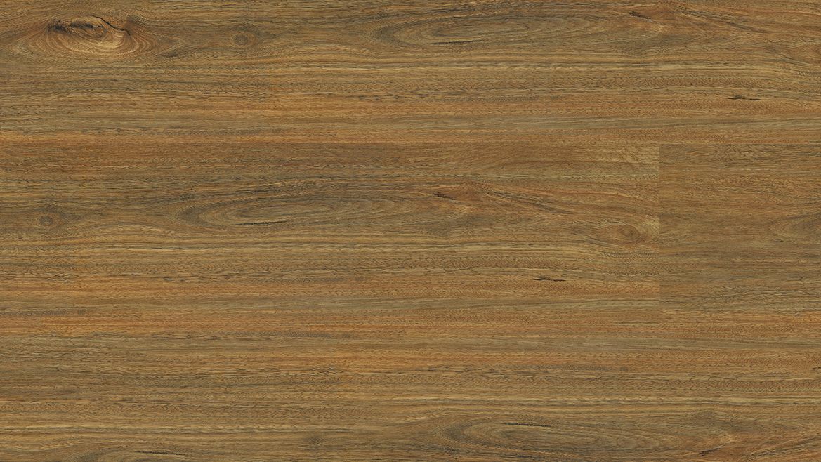 VISTA - 555 SPOTTED GUM VISTA - 555 SPOTTED GUM