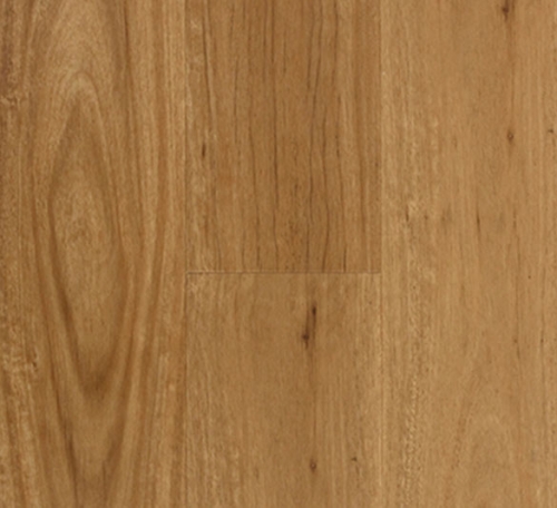 coastal-blackbutt-500x456