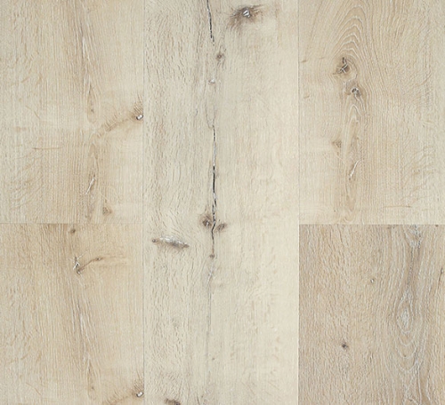 cooney-island-500x456 cooney-island-500x456