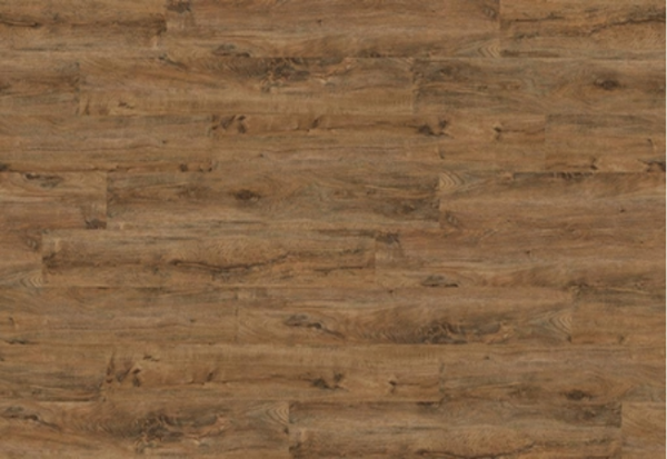 flamed_chestnut_9792 flamed_chestnut_9792