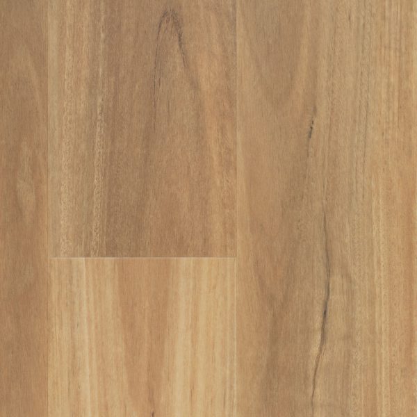 nouvelle-swatch-coastal-blackbutt