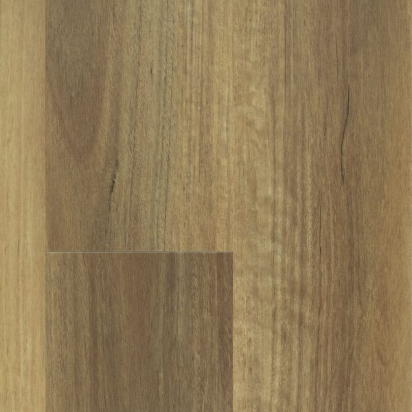 nouvelle-swatch-nsw-spotted-gum