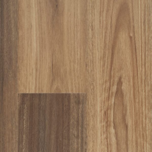 nouvelle-swatch-qld-spotted-gum