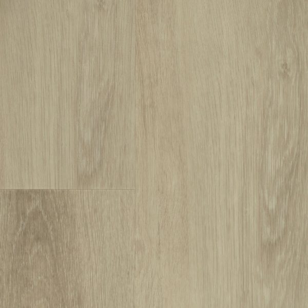 nouvelle_swatch-silver-birch