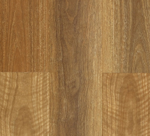 nsw-spotted-gum-500x456