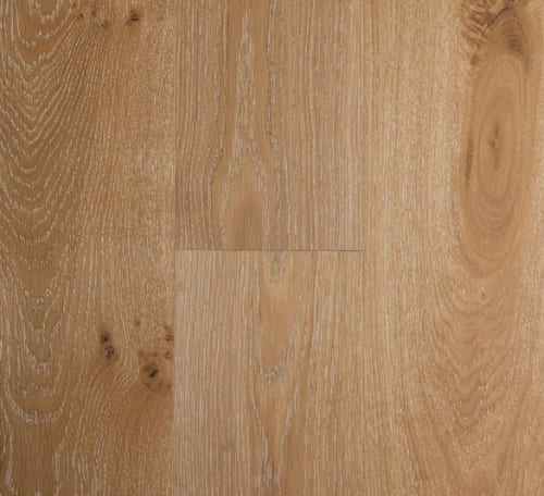 spindrift-500x456 Spindrift