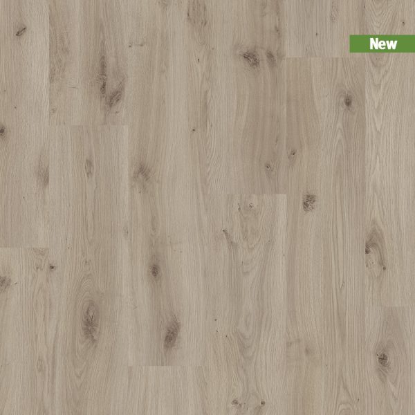 CXF00471_Topshot_new