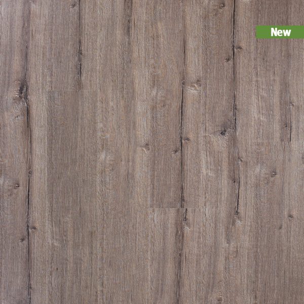 CXF00486_Topshot_new