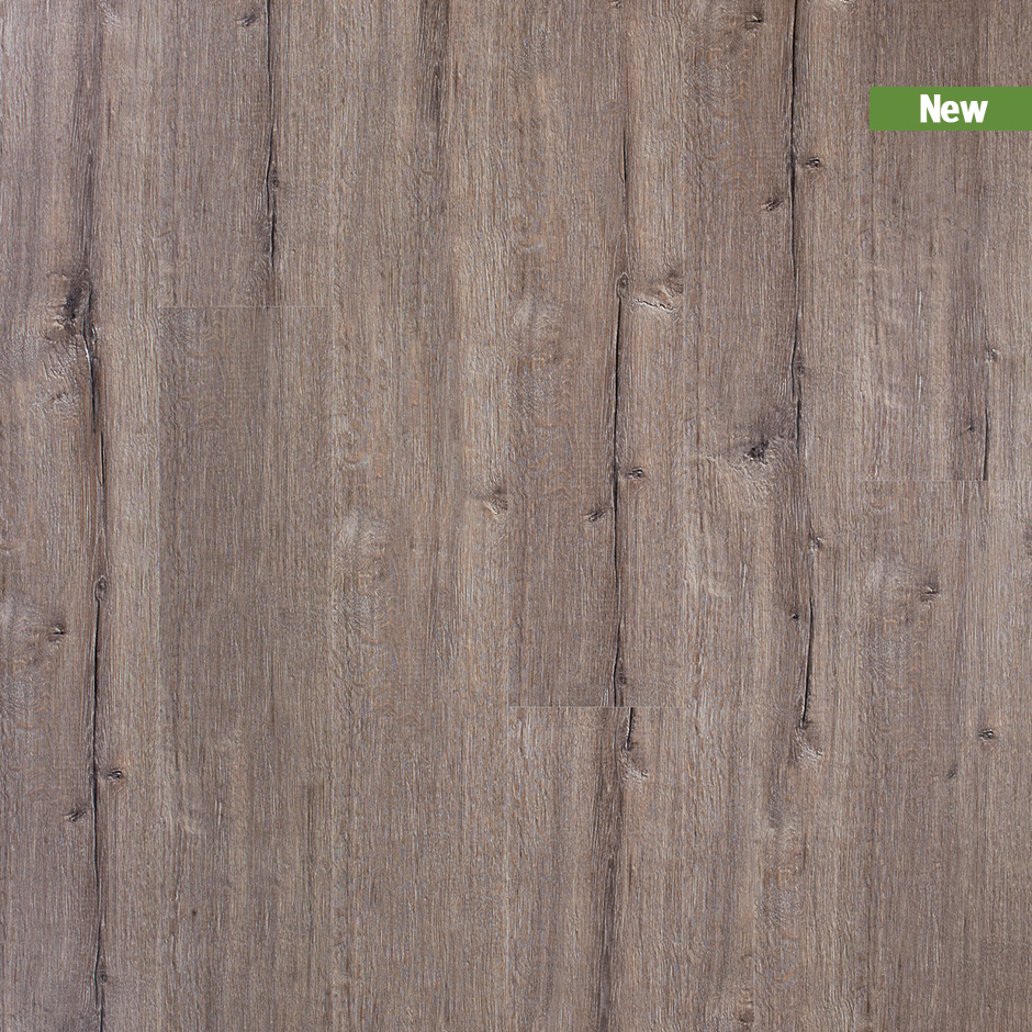 CXF00486_Topshot_new