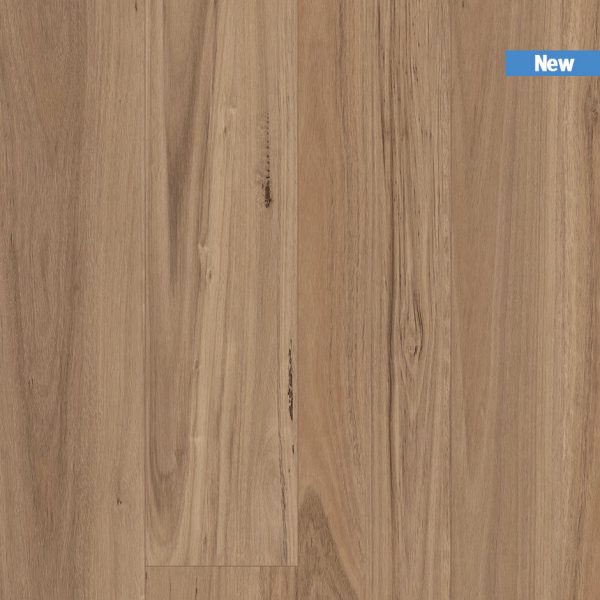 TIRXXL1002_topshot_new TIRXXL1002_topshot_new