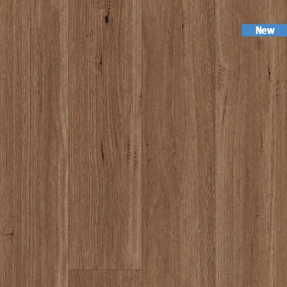 TIRXXL1042_topshot_new