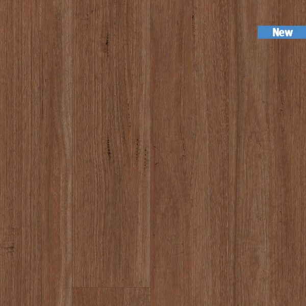 TIRXXL1044_topshot_new