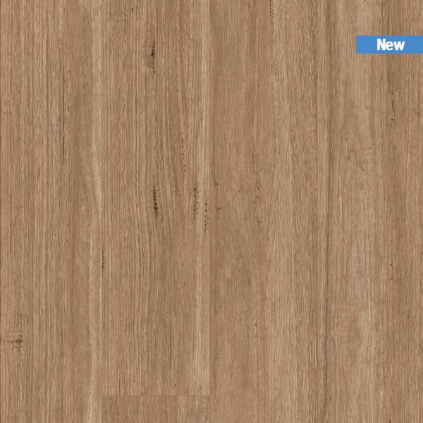 TIRXXL1045_topshot_new