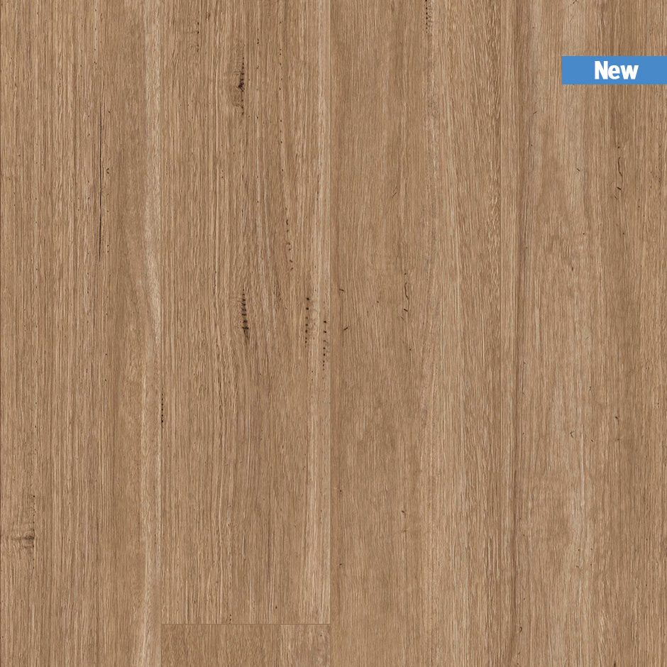 TIRXXL1045_topshot_new