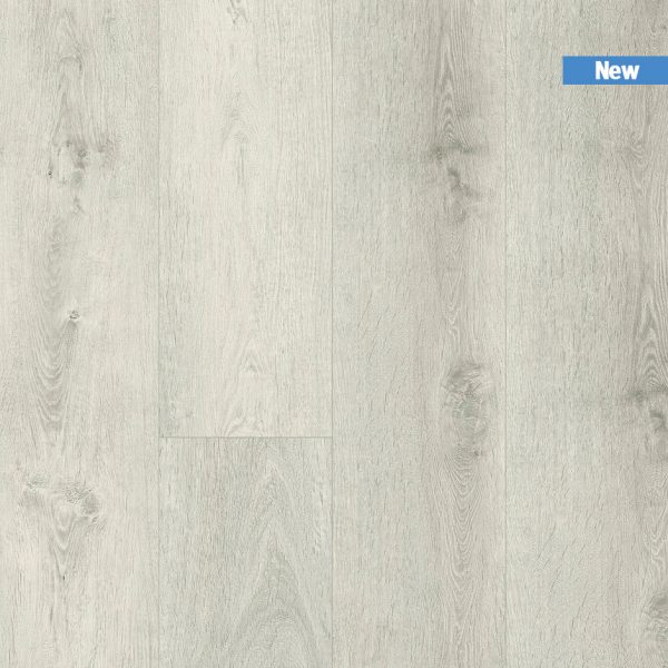 TIRXXL943_topshot_new