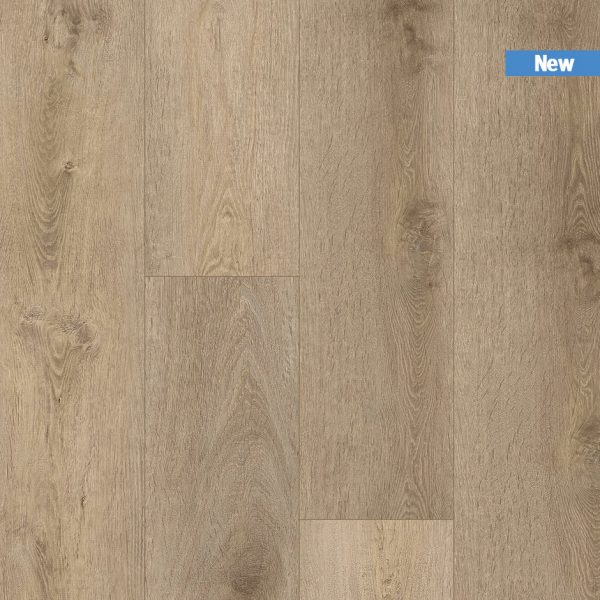 TIRXXL949_topshot_new