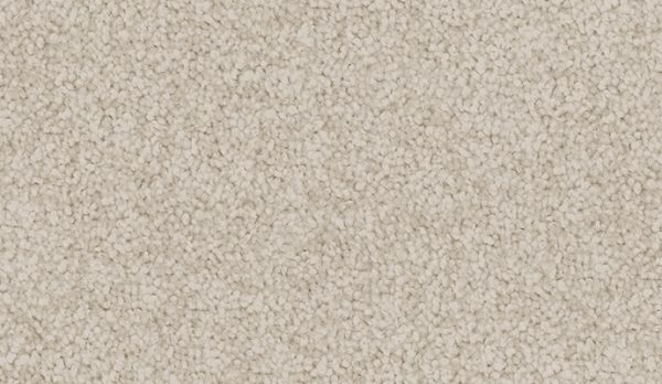 carpet-sheer_wonder-buff-floor-godfrey_hirst