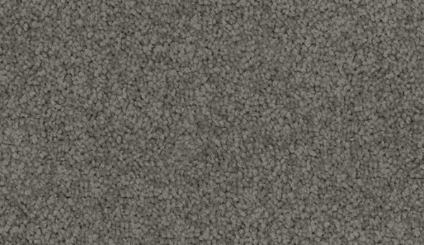 carpet-sheer_wonder-dark_metal-floor-godfrey_hirst
