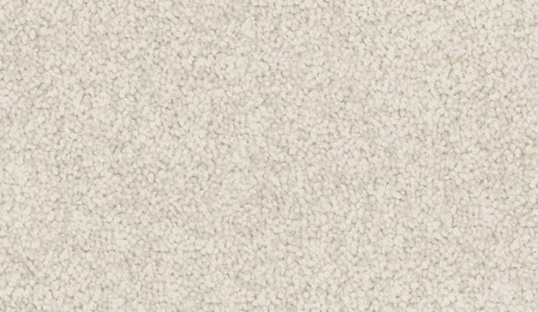 carpet-sheer_wonder-doe_white-floor-godfrey_hirst carpet-sheer_wonder-doe_white-floor-godfrey_hirst