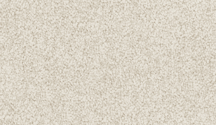 carpet-sheer_wonder-doe_white-floor-godfrey_hirst carpet-sheer_wonder-doe_white-floor-godfrey_hirst