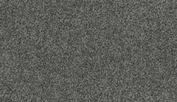 carpet-sheer_wonder-granite_grey-floor-godfrey_hirst