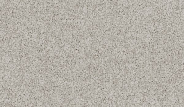 carpet-sheer_wonder-morning_grey-floor-godfrey_hirst
