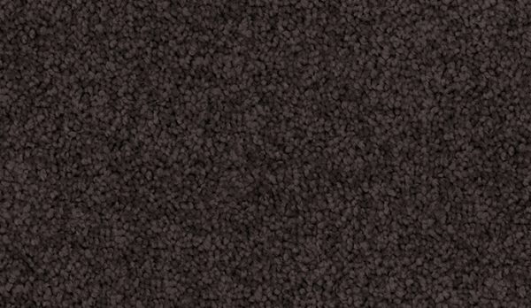 carpet-sheer_wonder-oolong-floor-godfrey_hirst